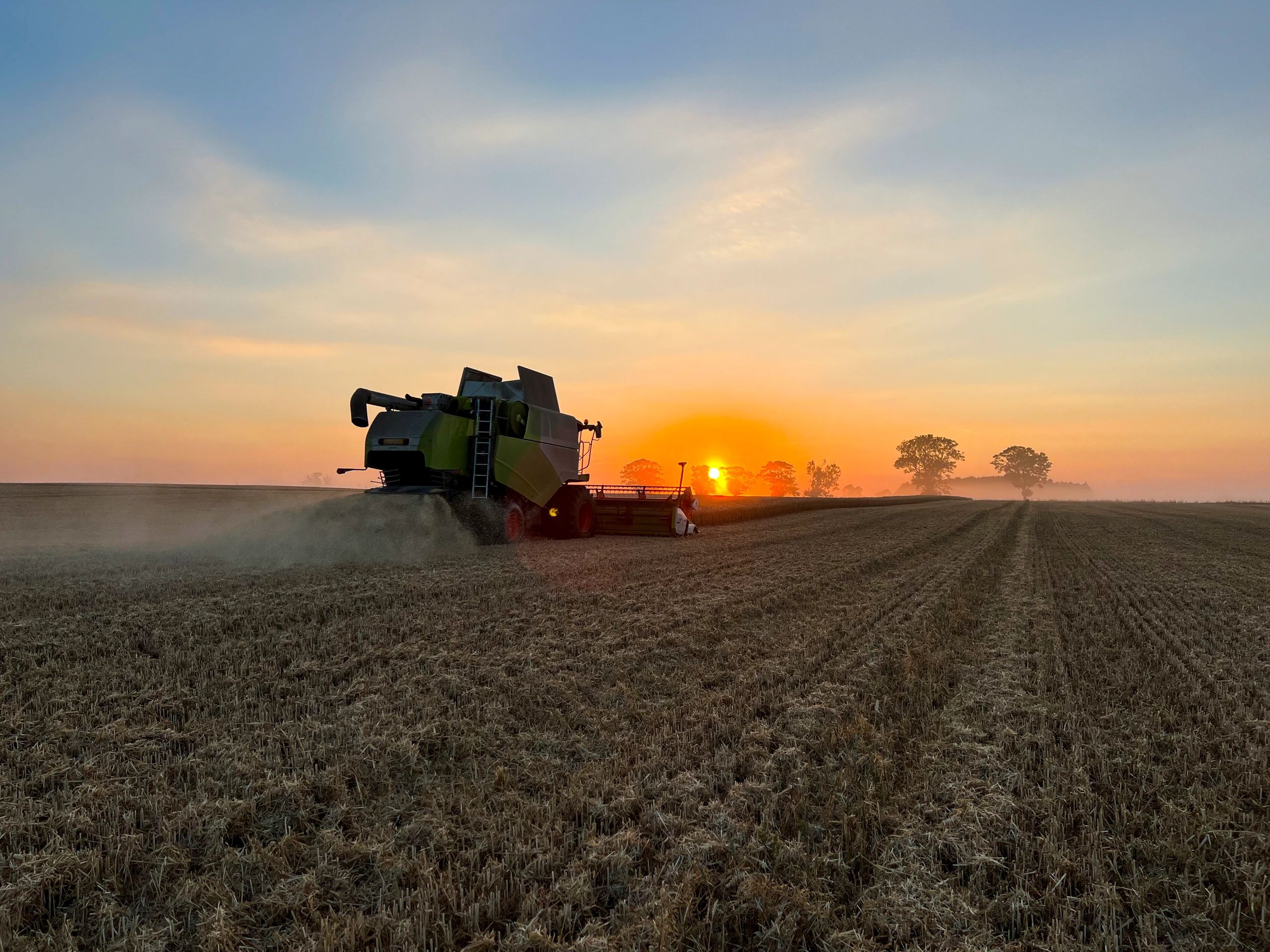 Combine harvester working in a grain field at sunset